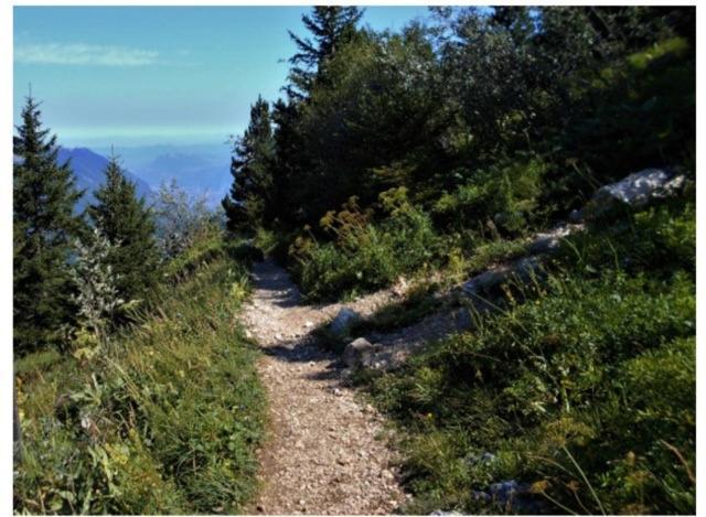 Grenoble Sud Varces Suite Privatisee Au Pied Des Montagnes Exterior photo
